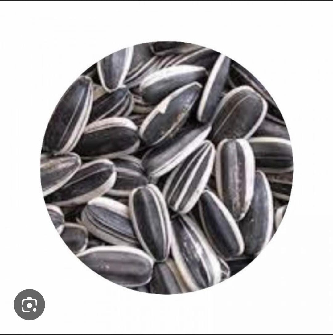 GIRASSOL MIUDO KG A GRANEL