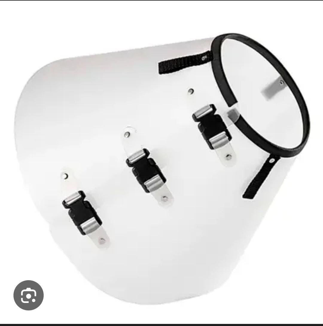 COLAR ELIZABETANO N10