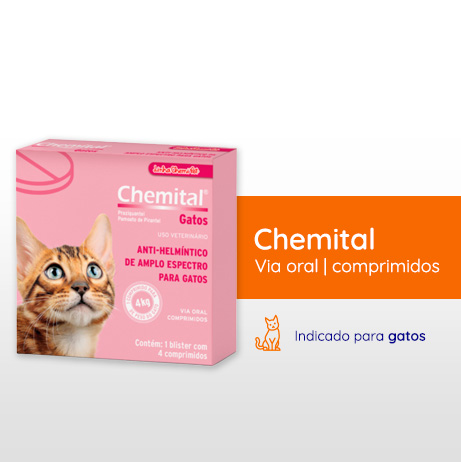 CHEMITAL  GATOS C/4